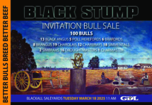 Black Stump Sale Catalogue