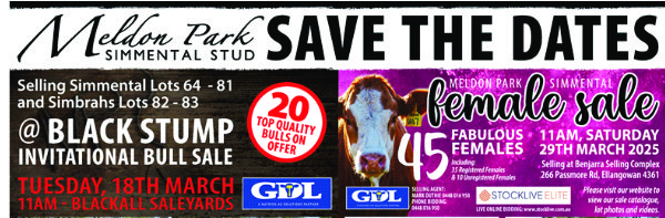 2025 Sale Dates