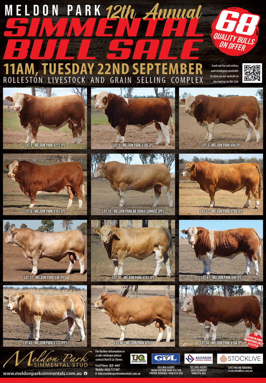 2026 BULL SALE